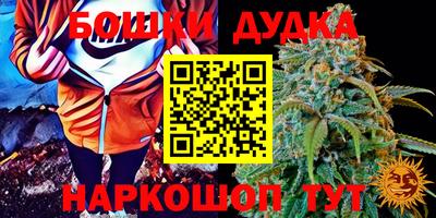мдпв Малгобек