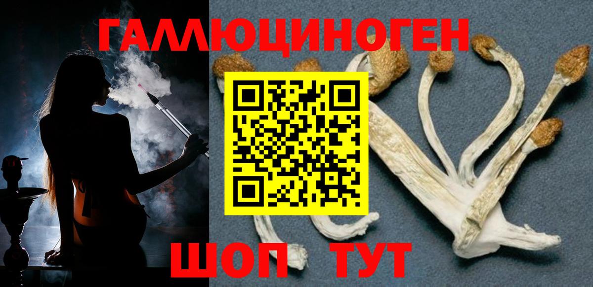 Галлюциногенные грибы Psilocybine cubensis  Вход с VPN  наркотики  Туапсе 