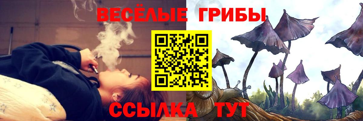 Псилоцибиновые грибы GOLDEN TEACHER Туапсе